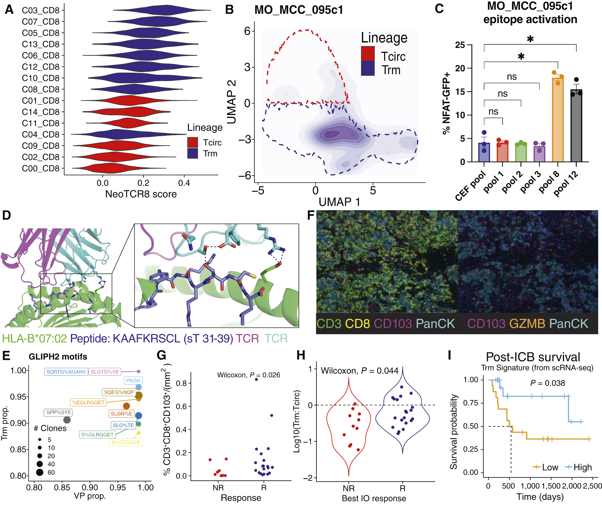 Research figure showing immune-cell profiling in autoimmune disease.