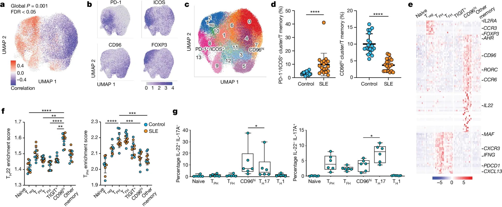 Research figure showing T cell lymphoma immune-cell analysis.